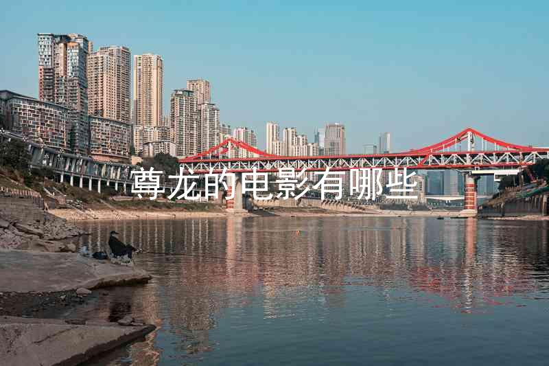 尊龙的电影有哪些